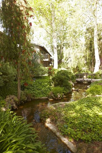 A small stream flows through a lush garden.
